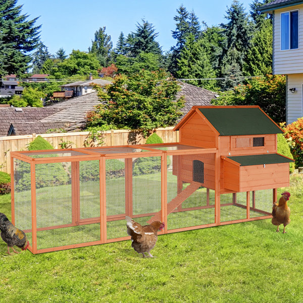 Tucker Murphy™ Pet Garibay Chicken Coop with Chicken Run For Up To 10